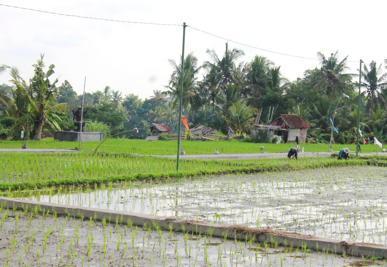 Permana Ubud Cottage Luaran gambar